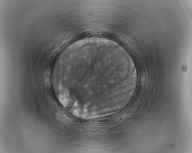 X0000091551060200709141511