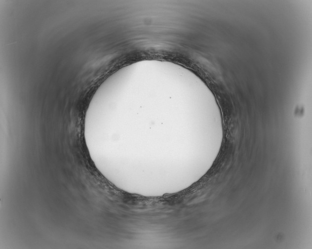 X0000091551061200709141511