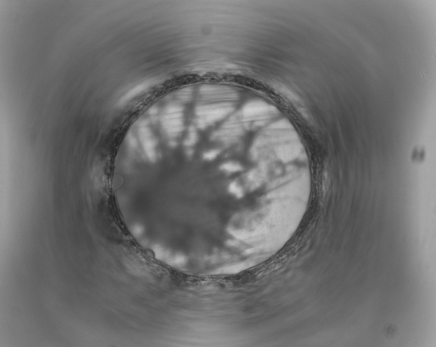 X0000091551063200709141511