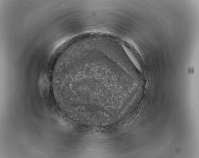 X0000091551064200709141511