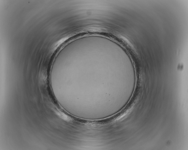 X0000091551065200709141511