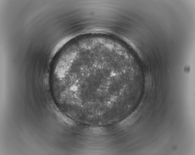 X0000091551066200709141511