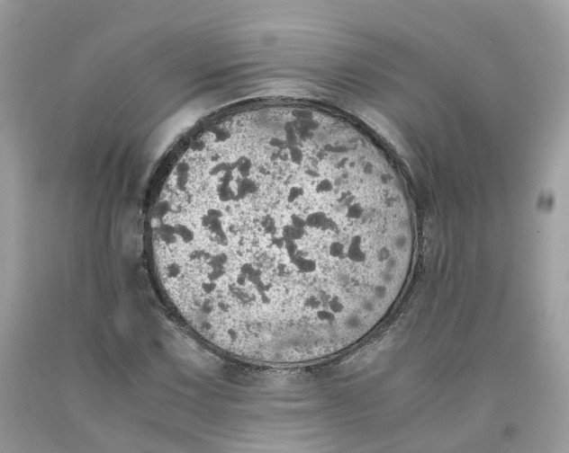 X0000091551067200709141511