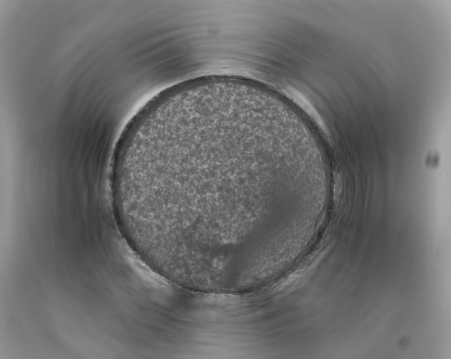 X0000091551068200709141511