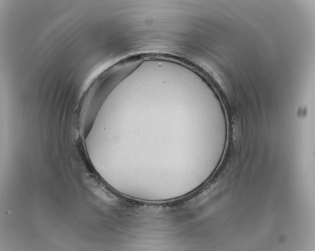 X0000091551069200709141511