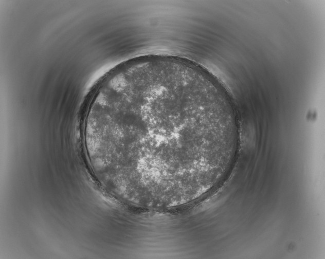 X0000091551070200709141511