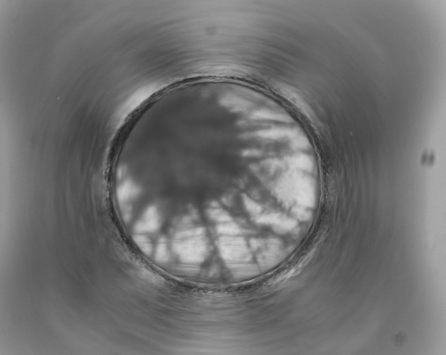 X0000091551071200709141511