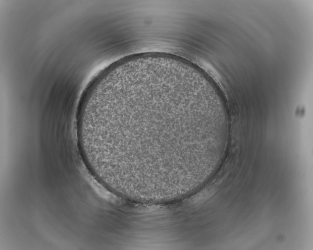 X0000091551072200709141511