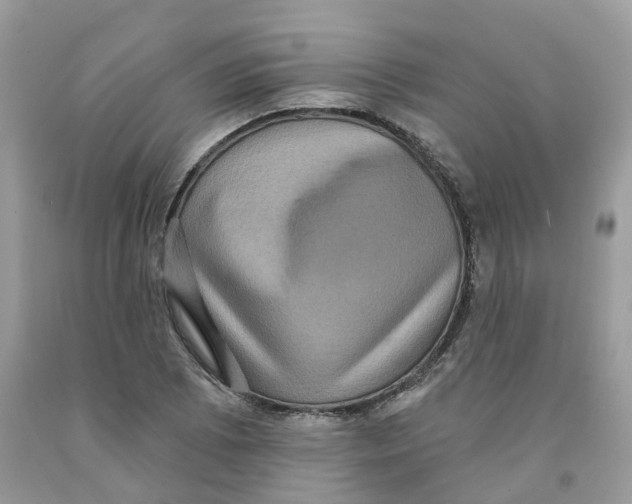 X0000091551073200709141511