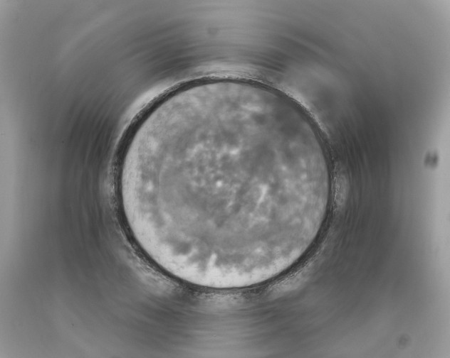 X0000091551074200709141511