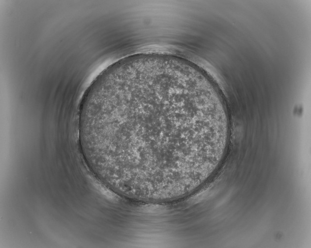 X0000091551075200709141511