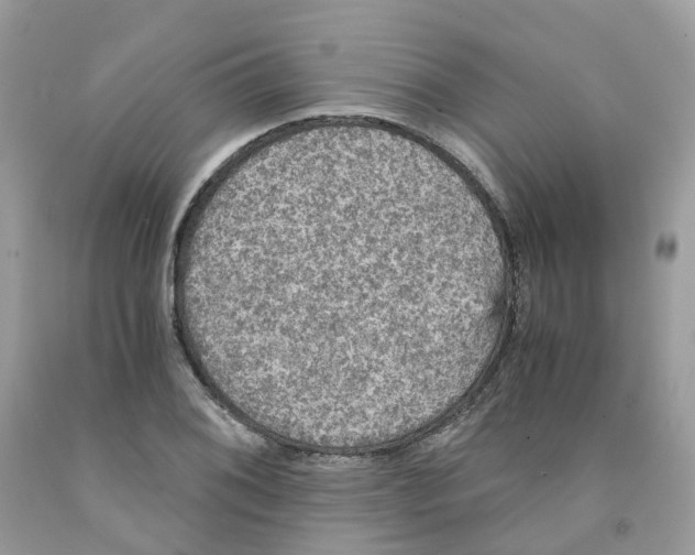 X0000091551076200709141511