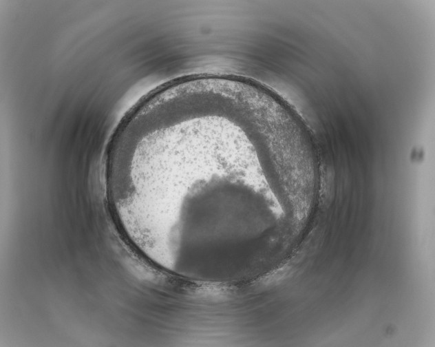 X0000091551078200709141511