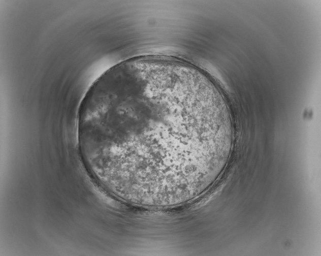 X0000091551079200709141511