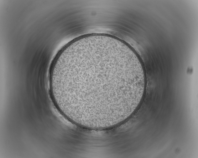 X0000091551080200709141511