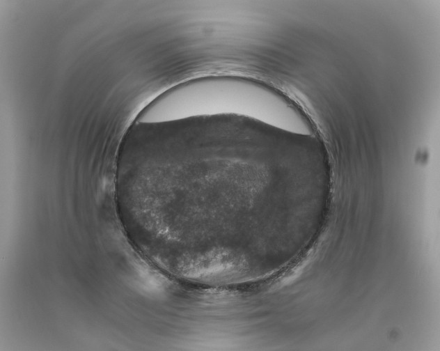 X0000091551081200709141511