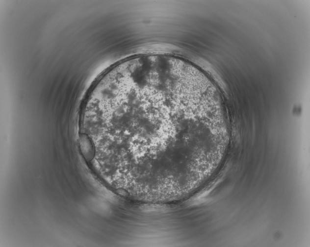 X0000091551083200709141511