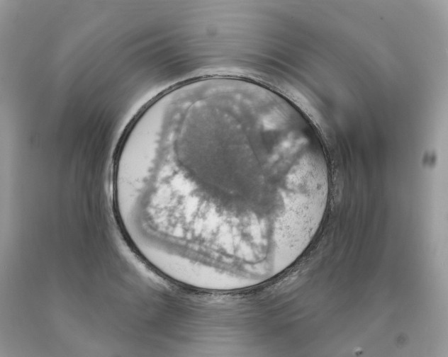 X0000091551084200709141511