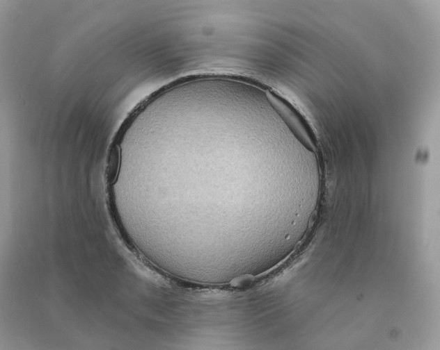 X0000091551085200709141511