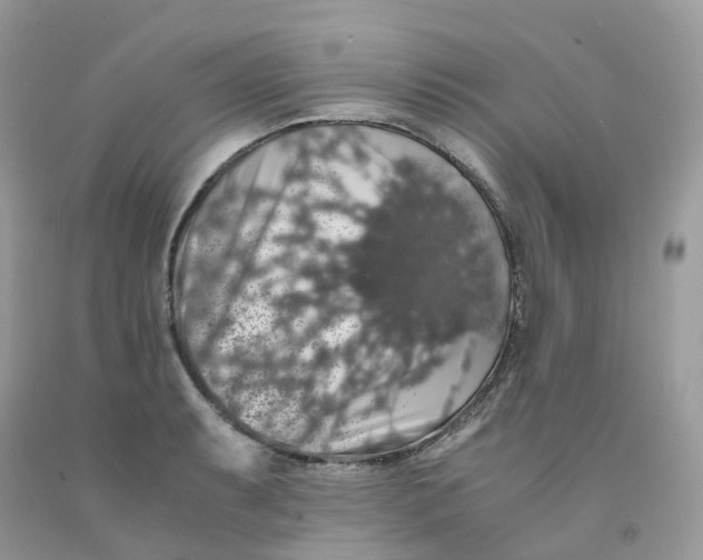 X0000091551087200709141511