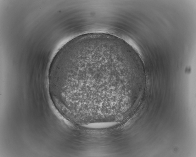 X0000091551088200709141511