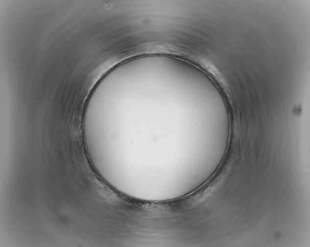 X0000091551089200709141511