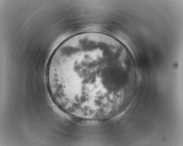 X0000091551090200709141511