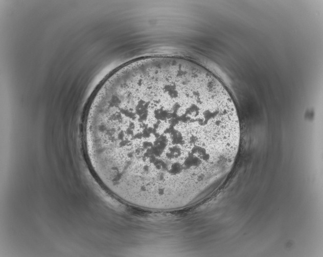 X0000091551091200709141511