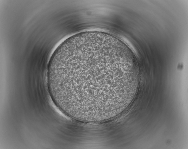 X0000091551092200709141511