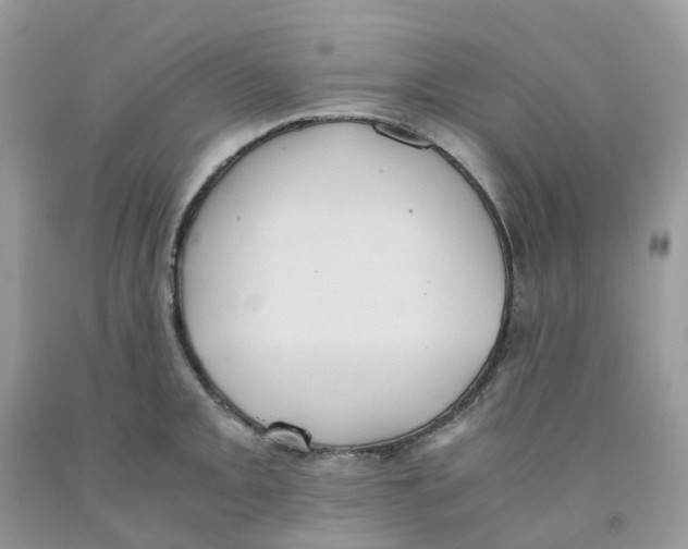 X0000091551093200709141511