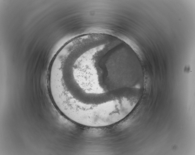 X0000091551094200709141511