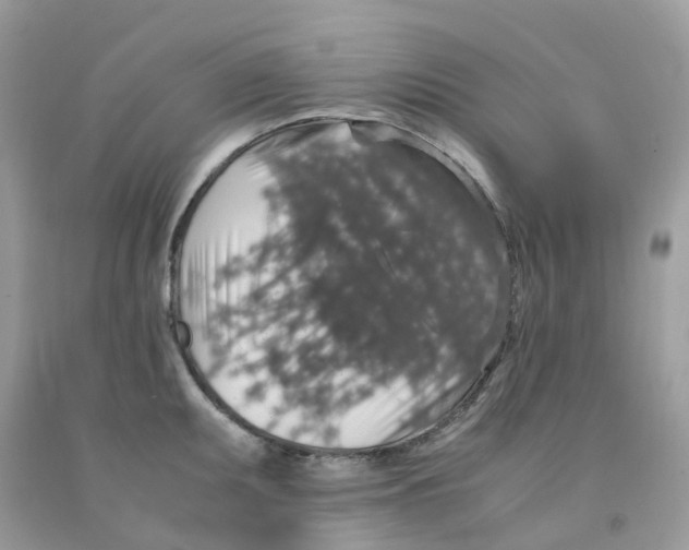 X0000091551095200709141511