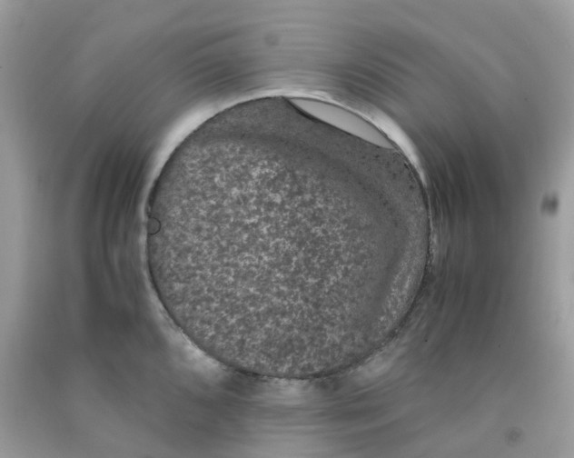 X0000091551096200709141511