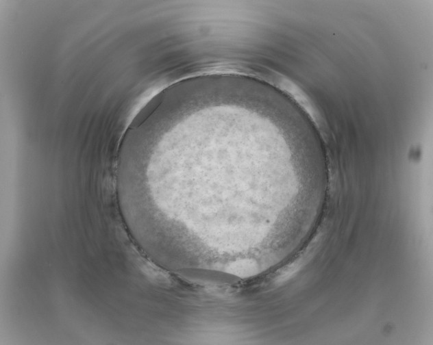 X0000091551097200709141511