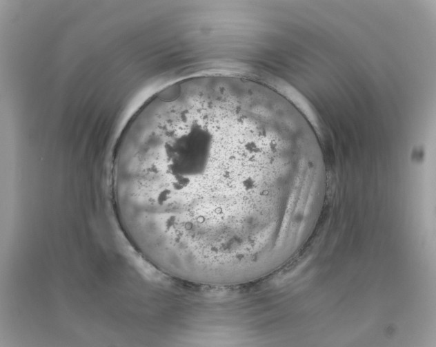 X0000091551099200709141511