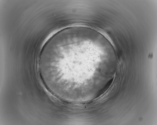 X0000091551101200709141511