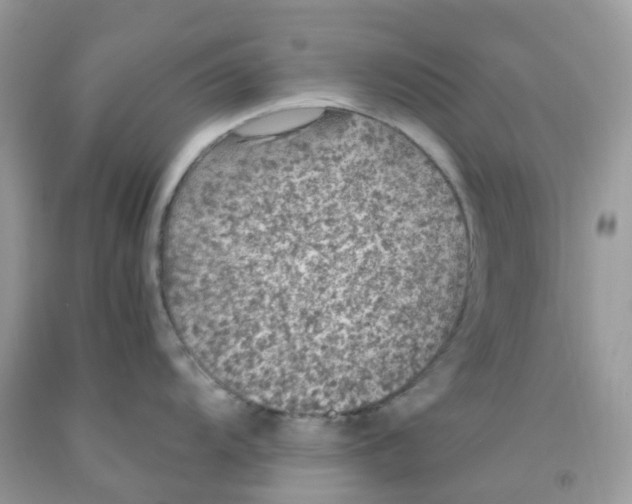 X0000091551104200709141511