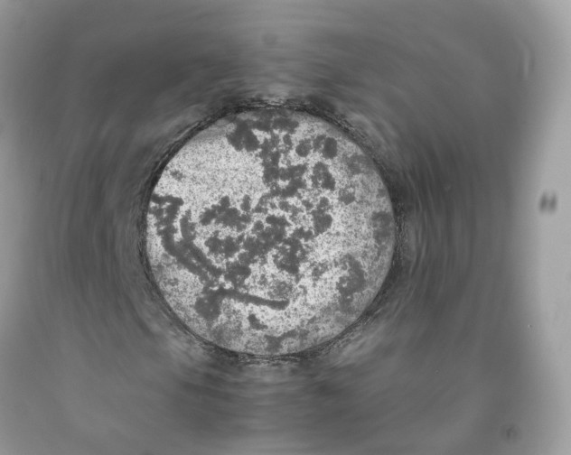 X0000091551105200709141510