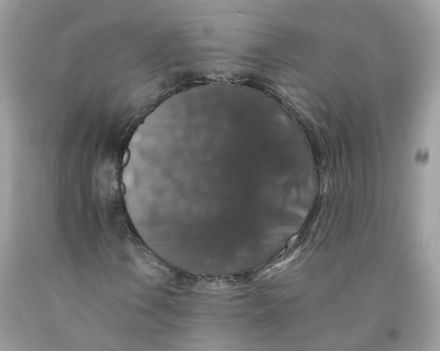 X0000091551106200709141510