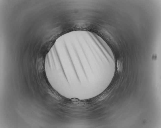 X0000091551107200709141510