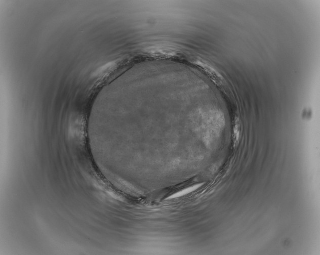 X0000091551108200709141510