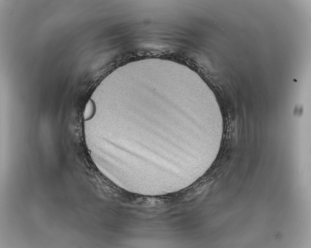 X0000091551109200709141510