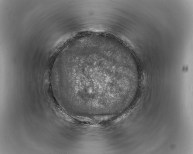 X0000091551110200709141510