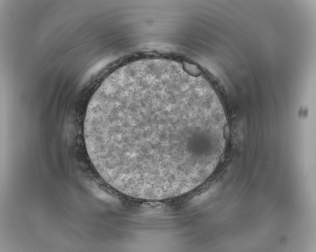 X0000091551112200709141510