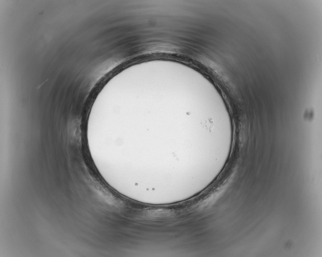 X0000091551113200709141510