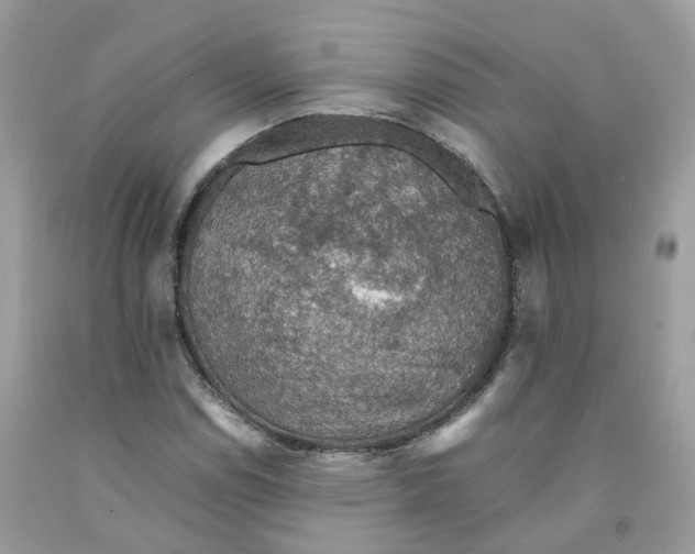 X0000091551114200709141510