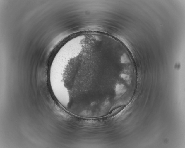 X0000091551115200709141510