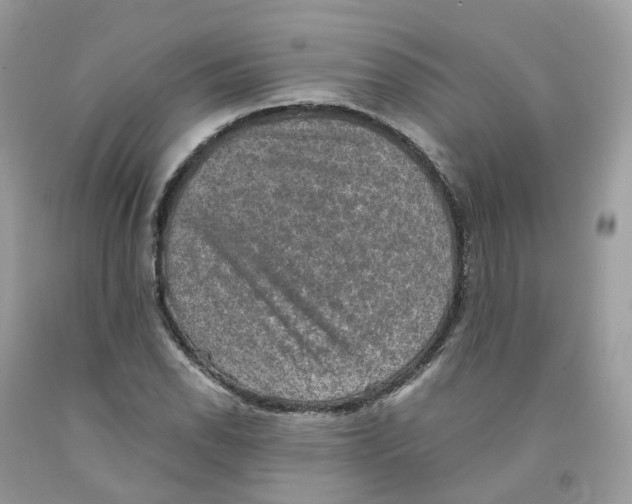 X0000091551118200709141510