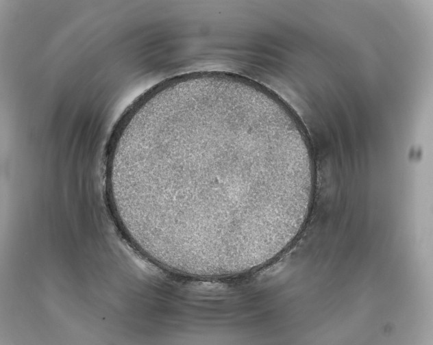 X0000091551119200709141510