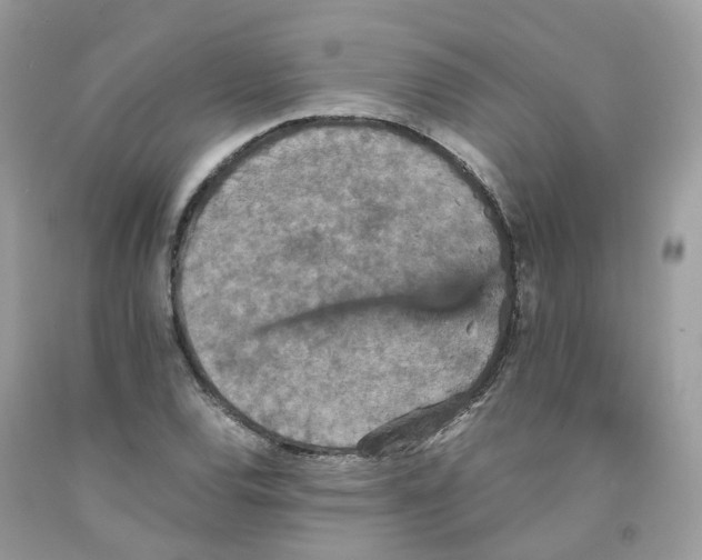 X0000091551120200709141510